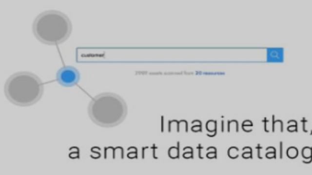 Informatica EDC Visual content